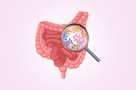 SIBO die off symptoms